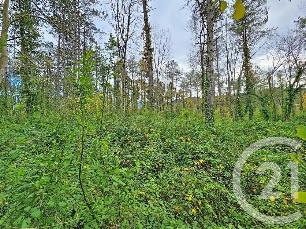 vente Terrain - 45093 m² Montjoie-en-Couserans (09200)