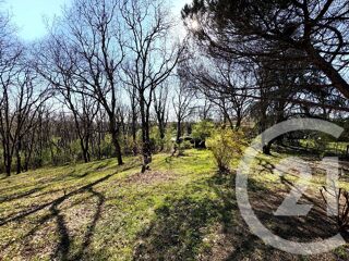  Maison � louer 5 pi�ces 160 m�