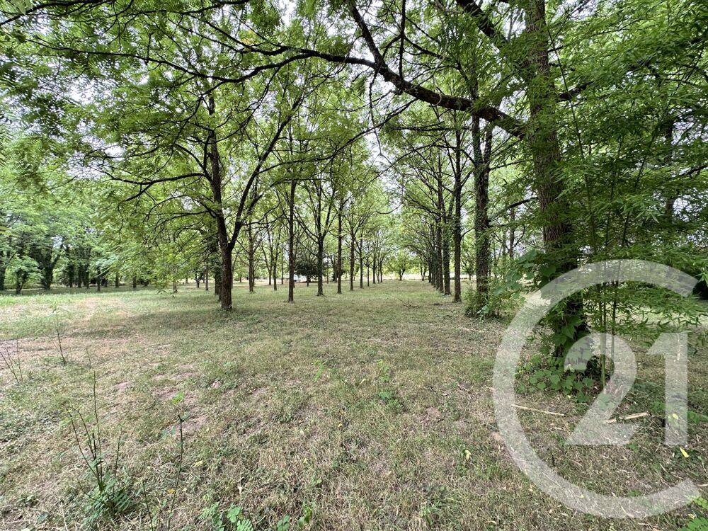 vente Terrain - 11849 m² Albi (81000)