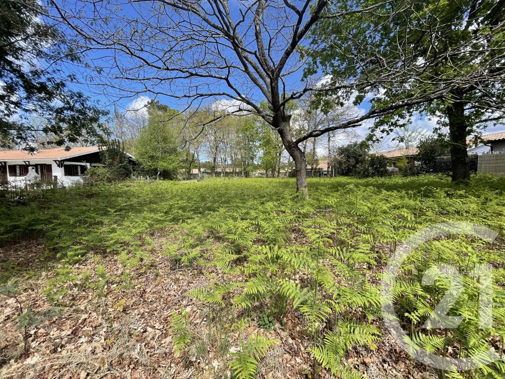 vente Terrain - 989 m� Hourtin (33990)