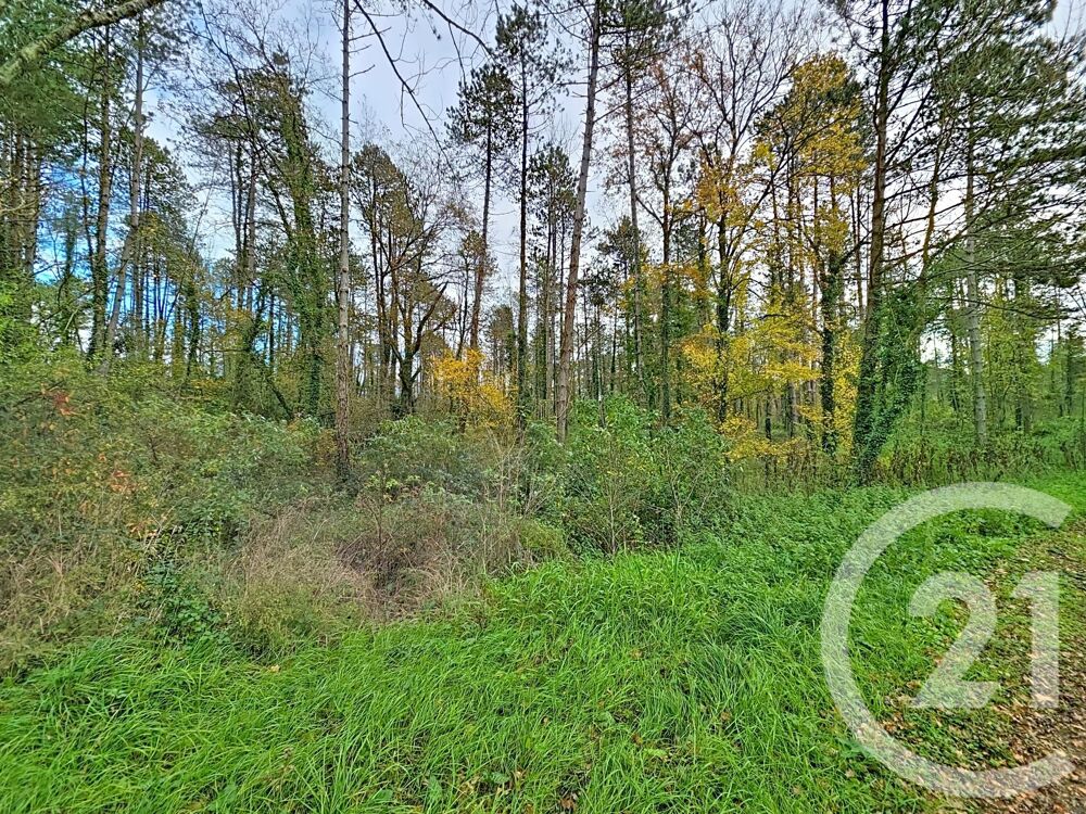 vente Terrain - 45093 m² Montjoie-en-Couserans (09200)
