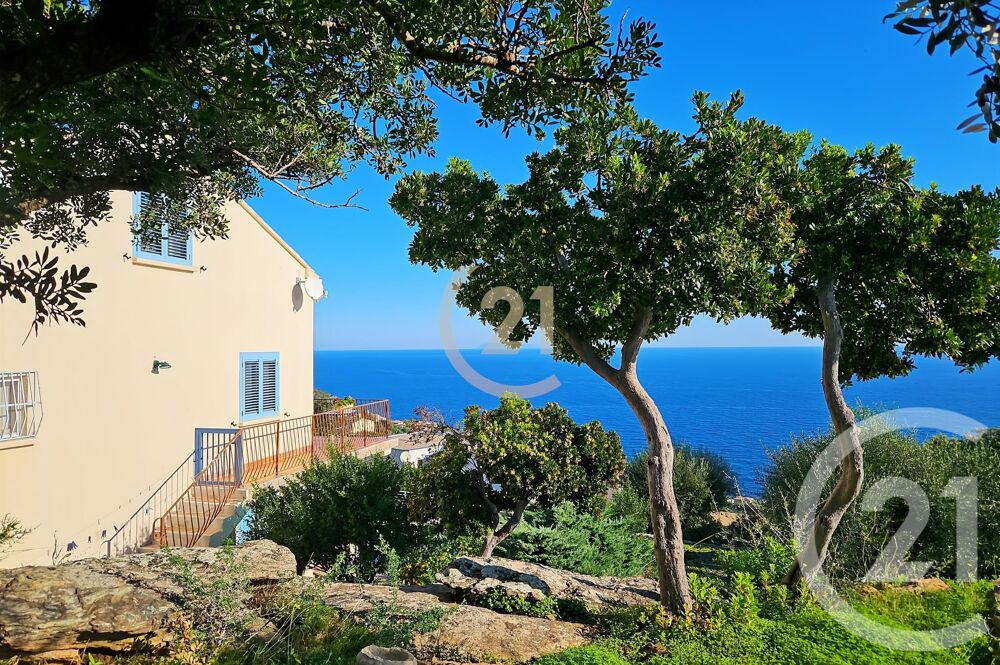 vente Maison - 6 pièce(s) - 280 m² San-Martino-di-Lota (20200)