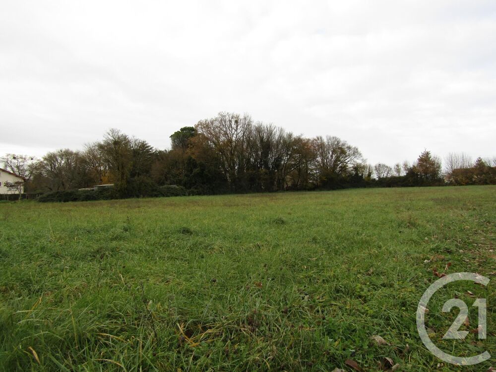 vente Terrain - 5395 m² Sompt (79110)