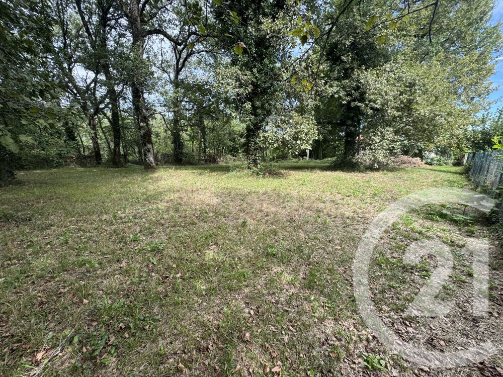 vente Terrain - 5000 m² Bouloc (31620)