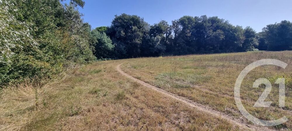 vente Terrain - 6305 m² Argelès-sur-Mer (66700)