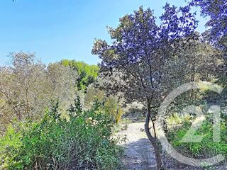  Terrain � vendre 2029 m�