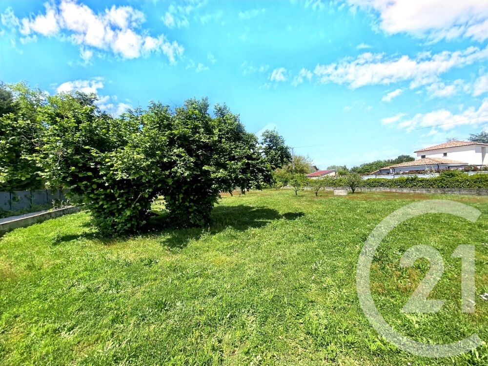 vente Terrain - 856 m² Tournefeuille (31170)