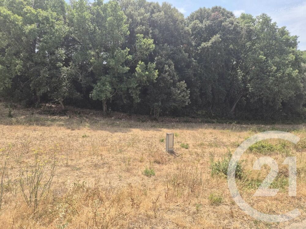 vente Terrain - 1000 m² Montolieu (11170)