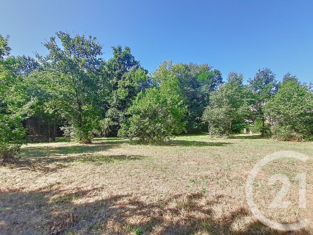vente Terrain - 6300 m² Auterive (31190)