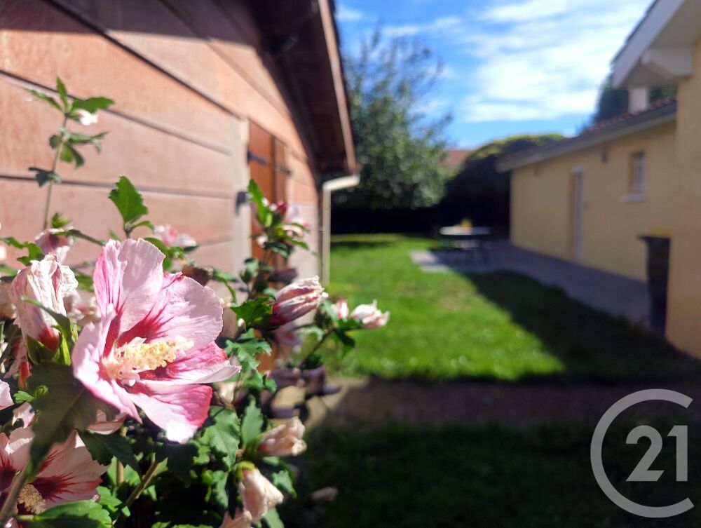 vente Maison - 5 pi�ce(s) - 137 m� Attignat (01340)