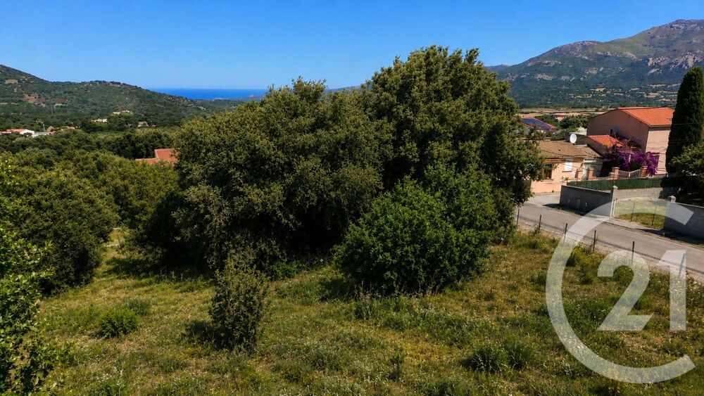 vente Terrain - 1105 m² Calenzana (20214)