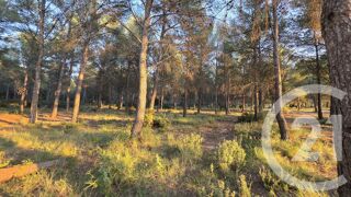  Terrain � vendre 5245 m�