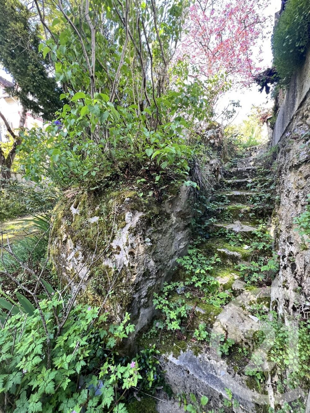 à vendre  Maison Avon (77210)