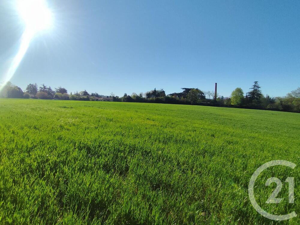 vente Terrain - 32000 m² Castres (81100)