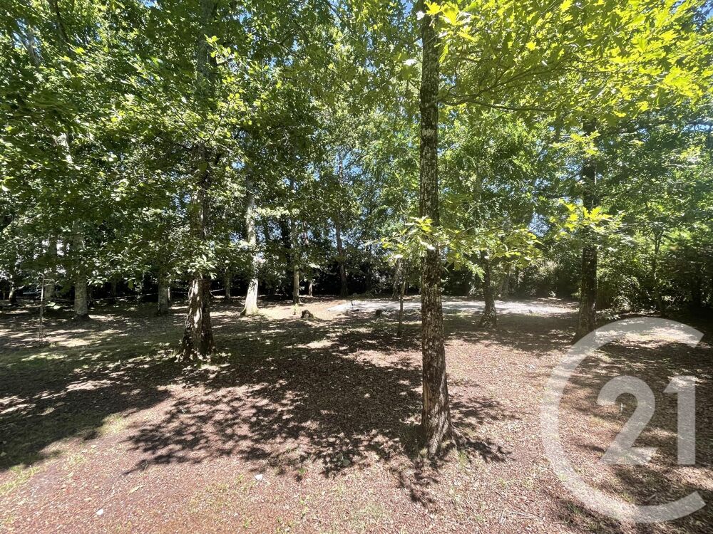 vente Terrain - 850 m� Hourtin (33990)
