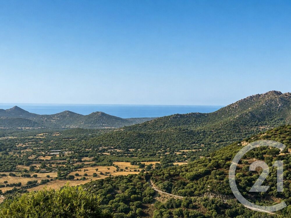 vente Maison - 12 pièce(s) - 800 m² Belgodère (20226)