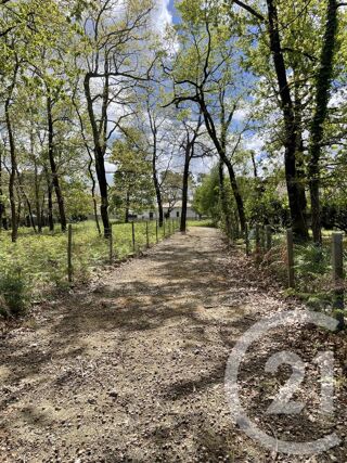  Terrain � vendre 989 m�