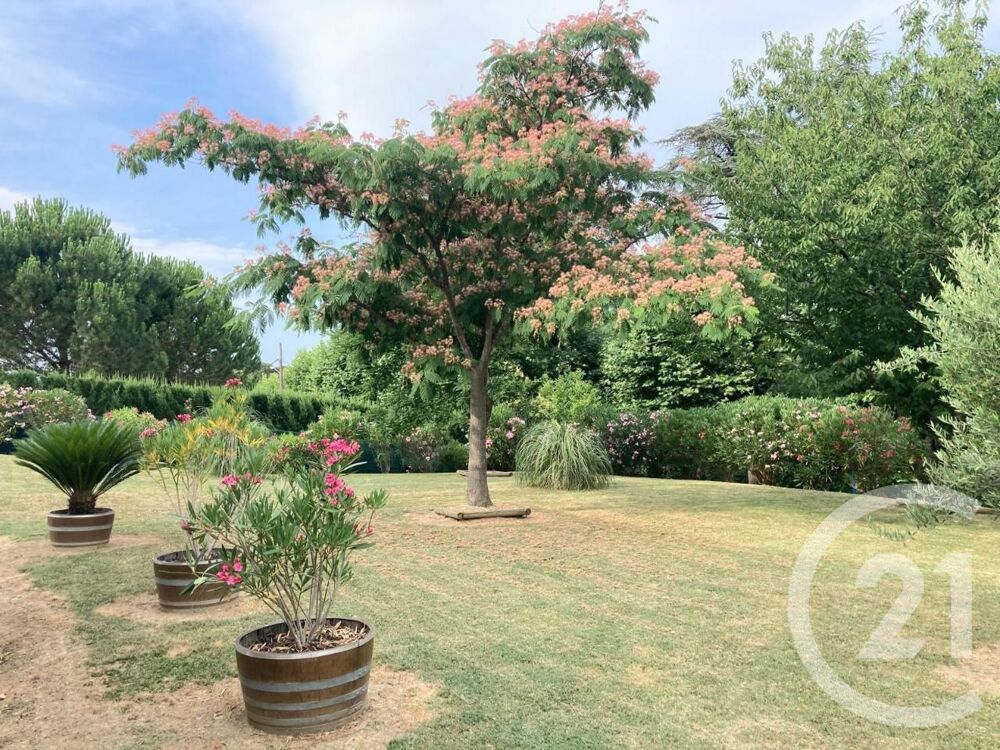 vente Maison - 4 pièce(s) - 218 m² Alairac (11290)