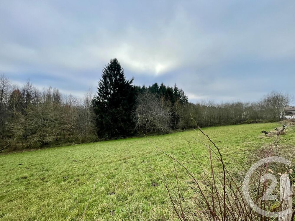vente Terrain - 4590 m² Hadol (88220)