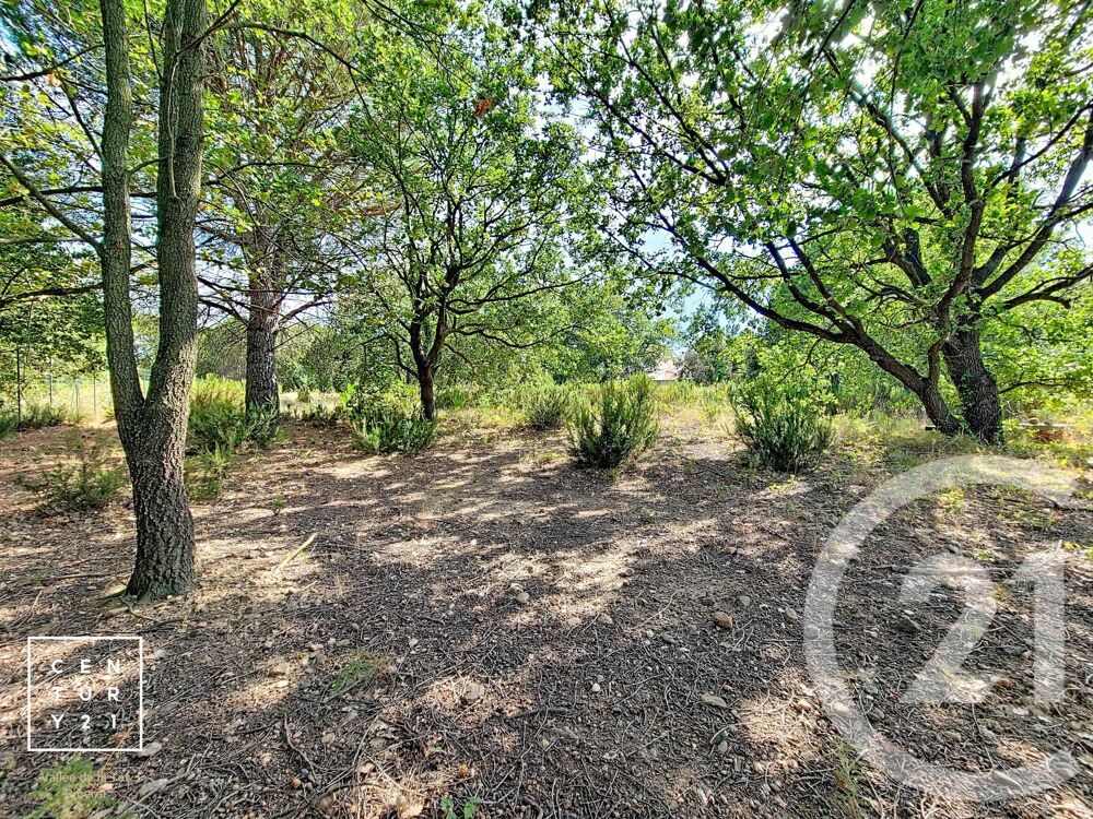 vente Terrain - 5055 m² Toulouges (66350)