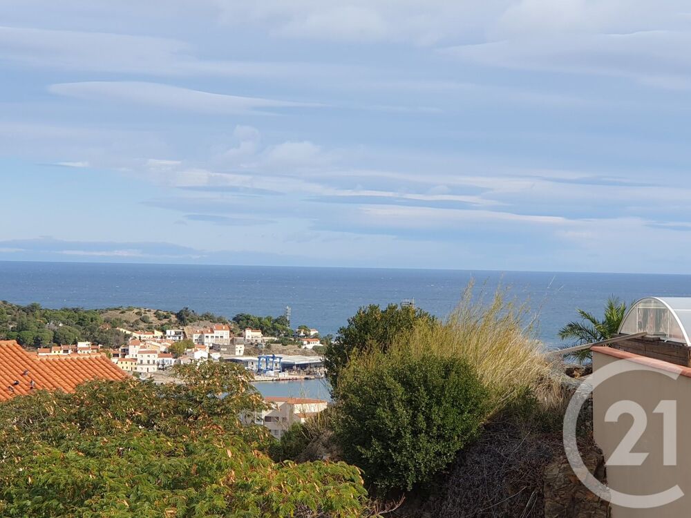 PORT-VENDRES- VUE MER ET MONTAGNE ! Venez découvrir ....