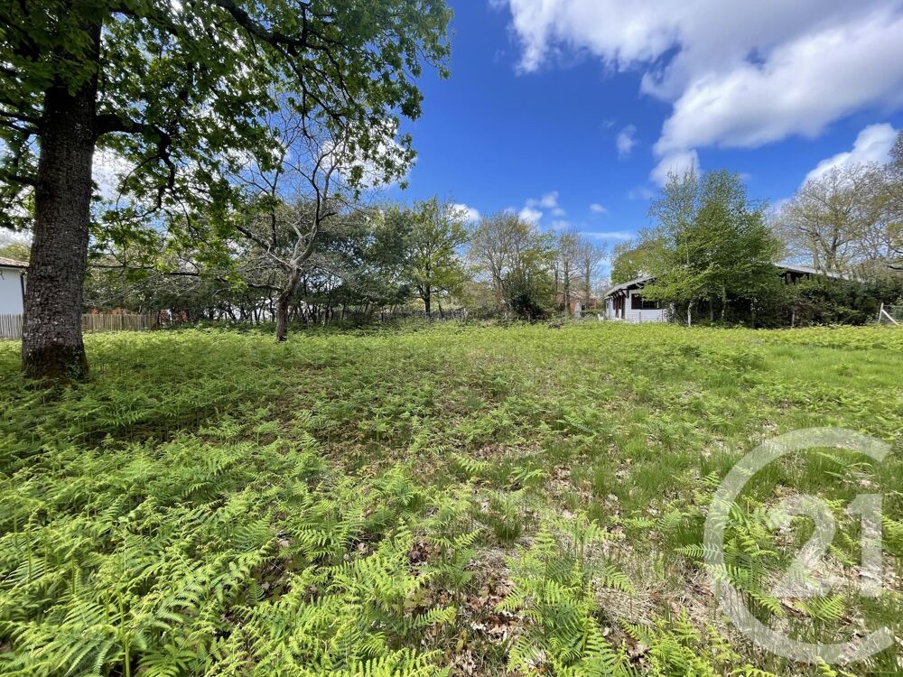 vente Terrain - 989 m� Hourtin (33990)