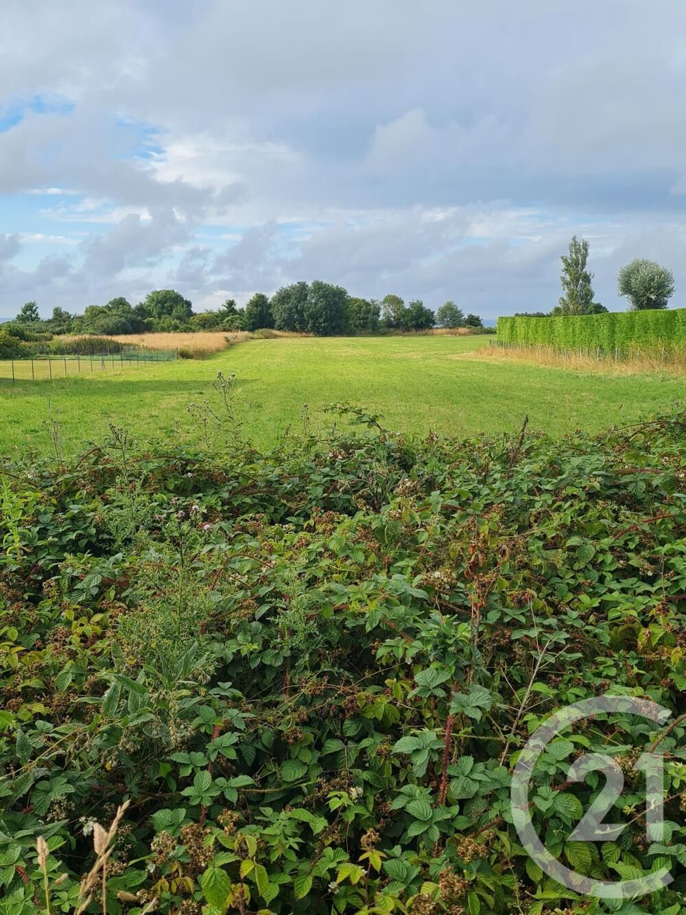 vente Terrain - 4472 m² Commes (14520)