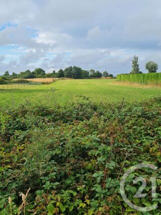 vente Terrain - 4472 m² Commes (14520)