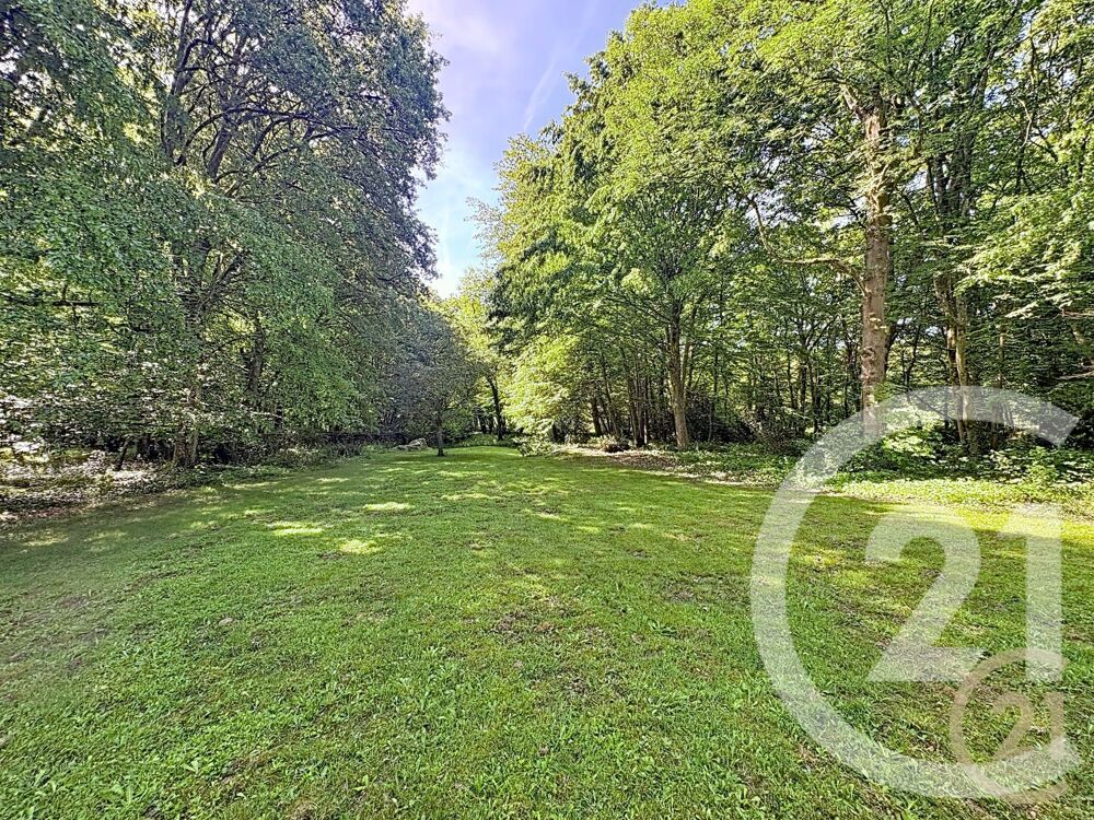 à vendre  Maison Montigny-sur-Loing (77690)