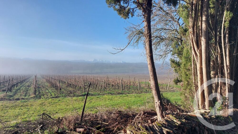 vente Maison - 15 + pièce(s) - 1120 m² Belvèze-du-Razès (11240)