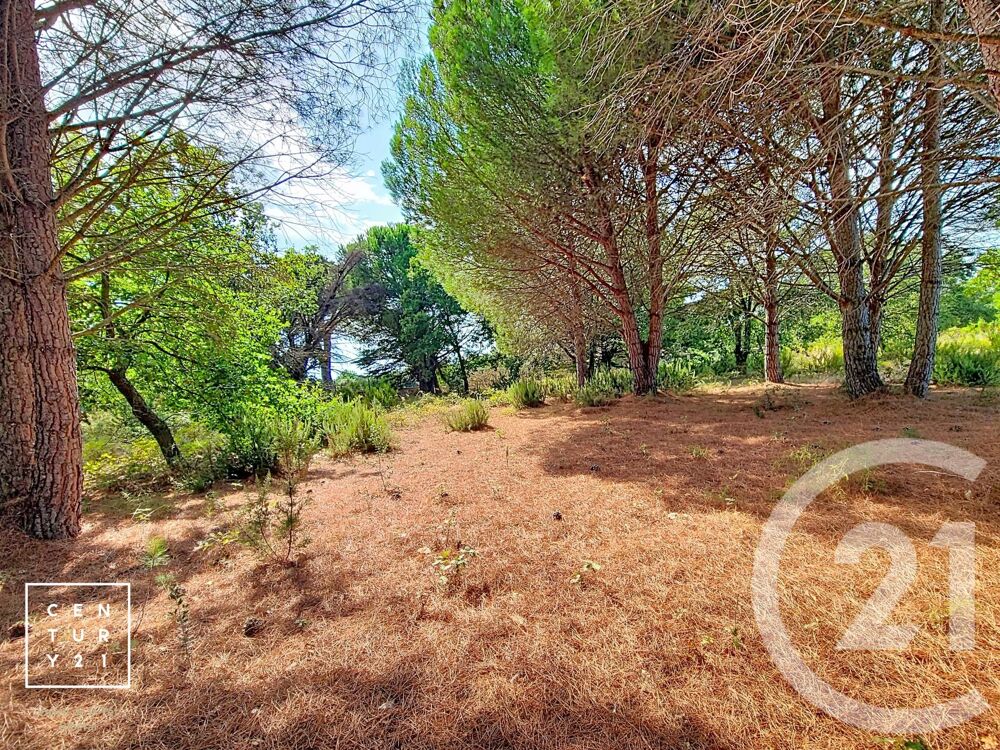 vente Terrain - 5055 m² Toulouges (66350)
