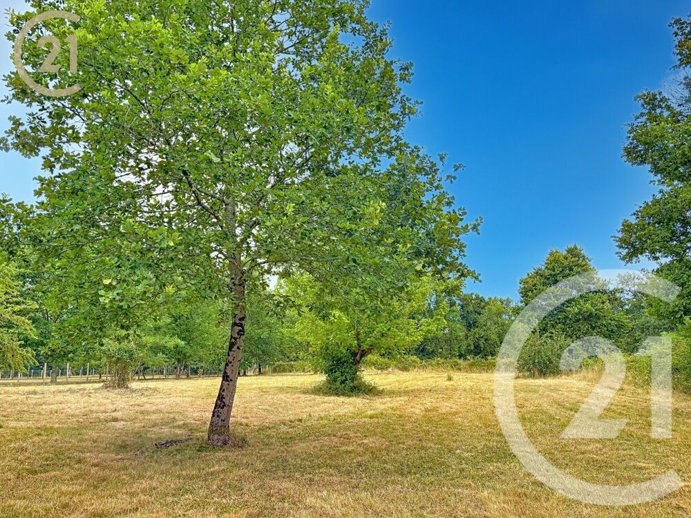 vente Terrain - 3853 m² Montpon-Ménestérol (24700)