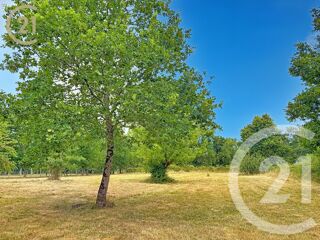 vente Terrain - 3853 m² Montpon-Ménestérol (24700)