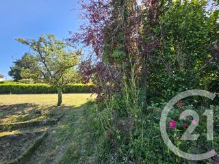  Terrain à vendre 1310 m²