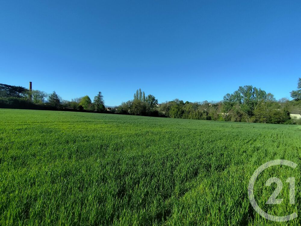 vente Terrain - 32000 m² Castres (81100)