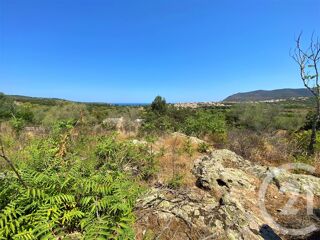 vente Terrain - 5245 m² Belgodère (20226)