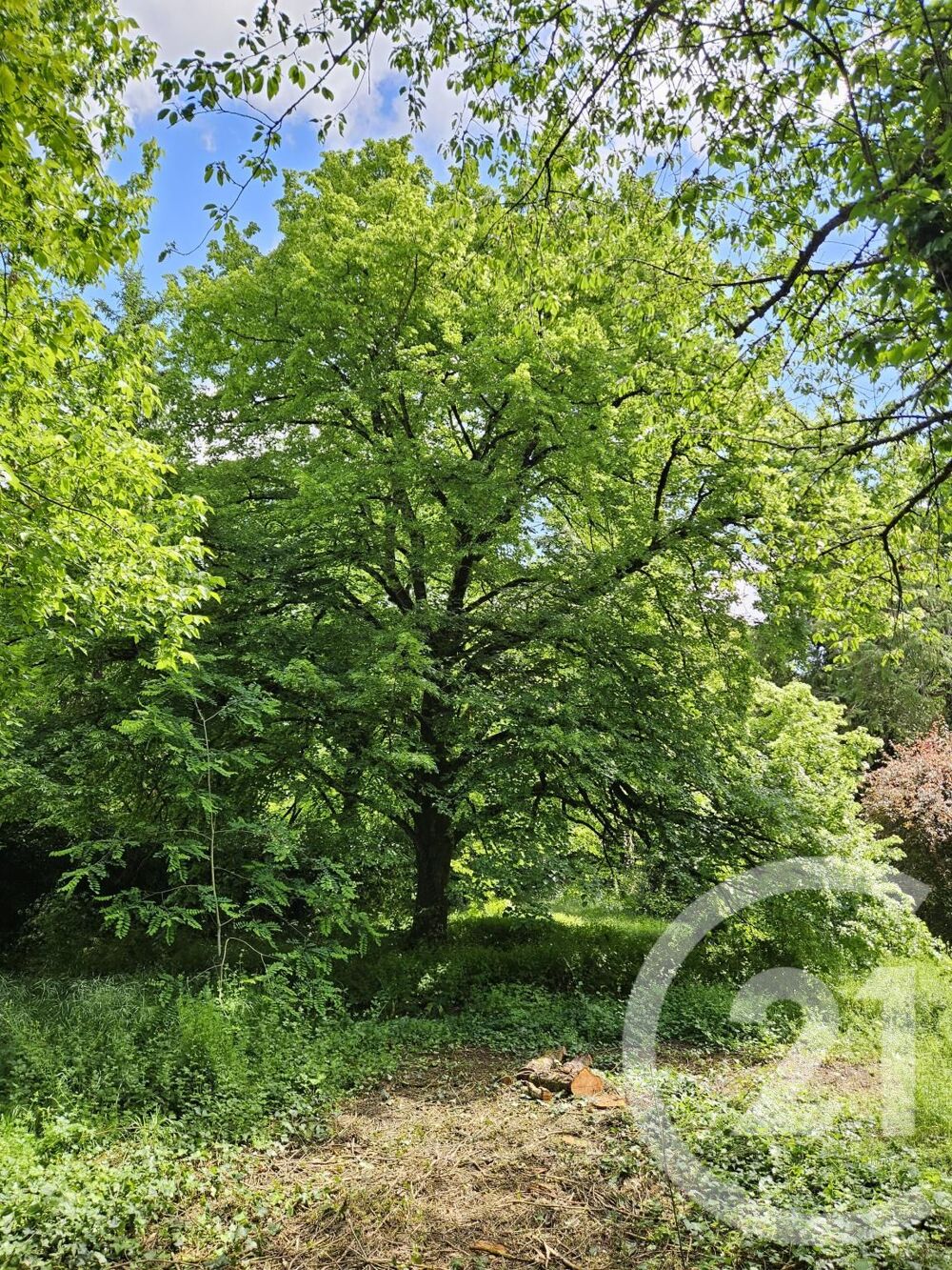 vente Terrain - 1157 m² Migné-Auxances (86440)