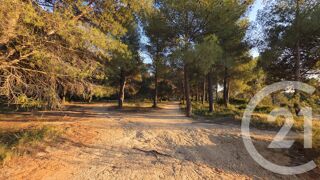  Terrain � vendre 5245 m�