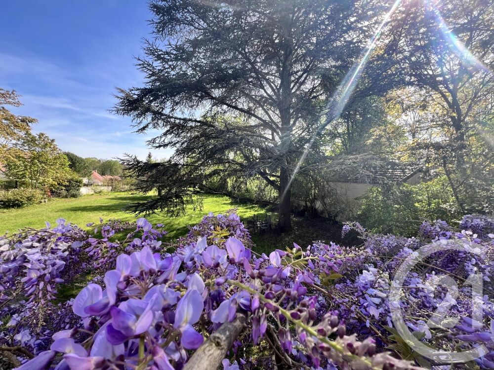 � vendre  Maison Avon (77210)