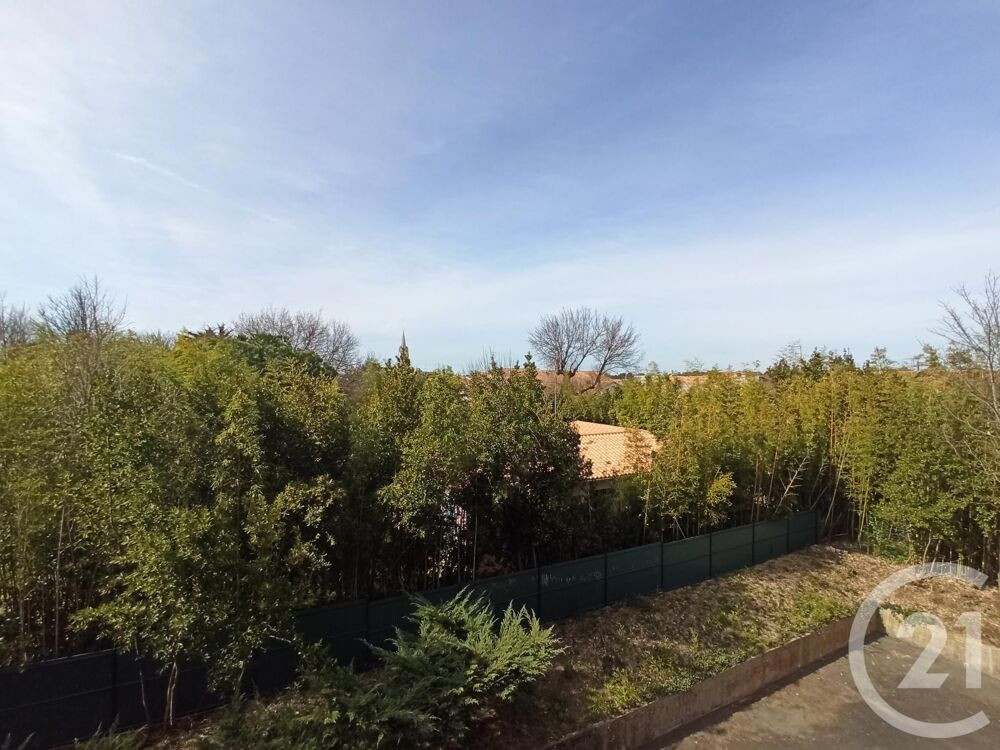 location Appartement - 1 pièce(s) - 23 m² Saint-Georges-de-Didonne (17110)
