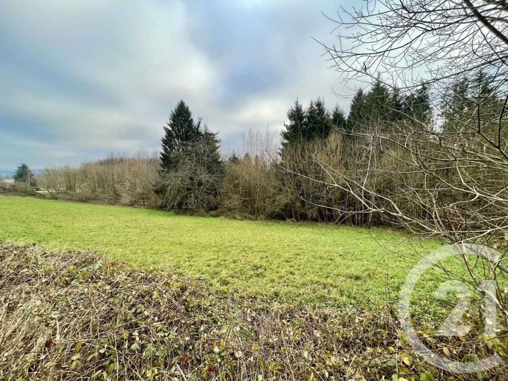 vente Terrain - 4590 m² Hadol (88220)