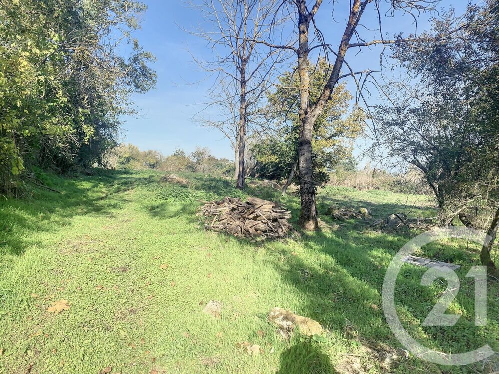 vente Terrain - 2708 m² Le Theil (03240)