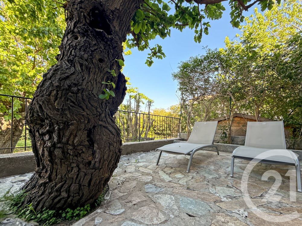 � vendre  Maison Calvi (20260)