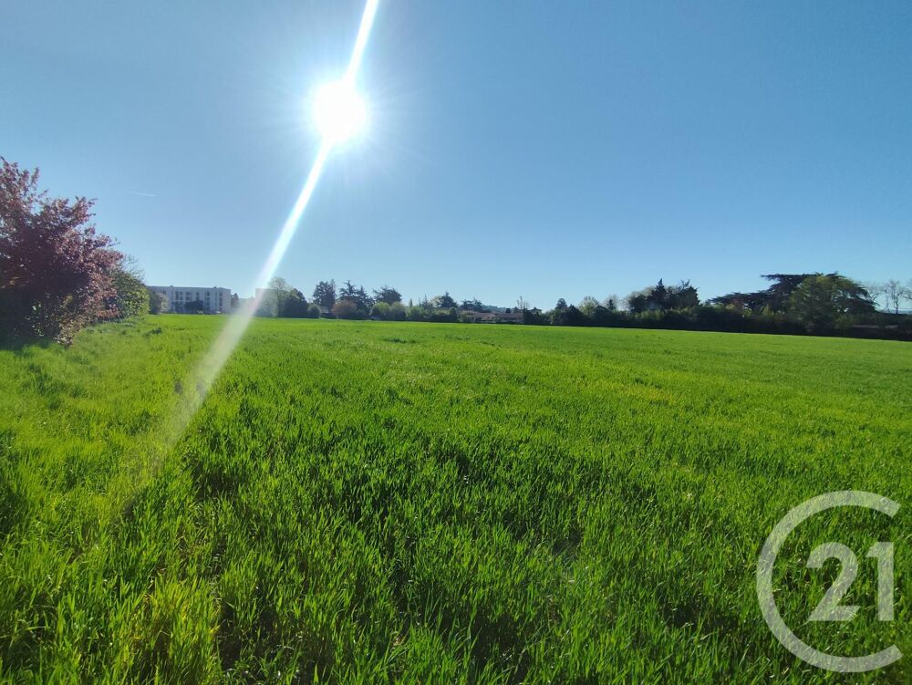 vente Terrain - 32000 m² Castres (81100)