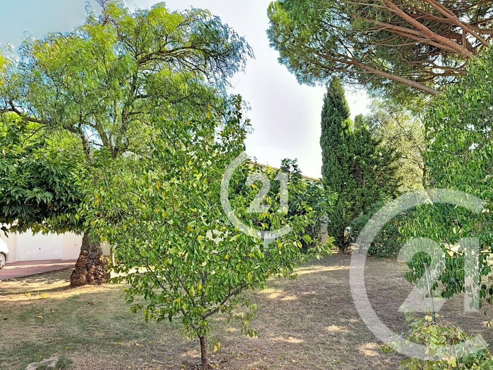 vente Maison - 4 pièce(s) - 182 m² Montescot (66200)