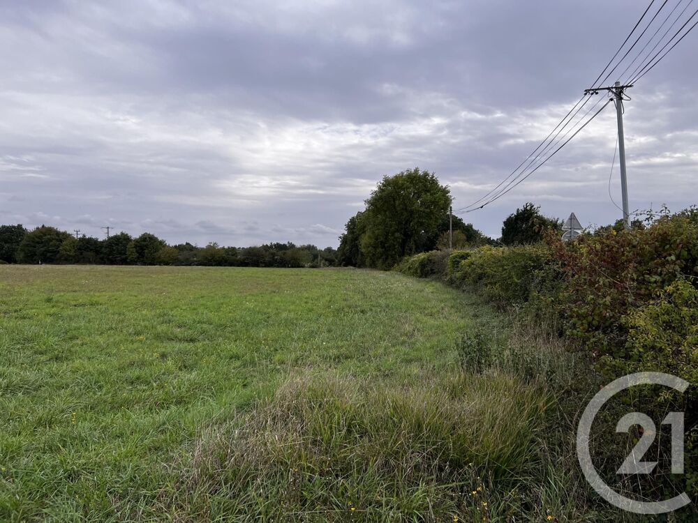 vente Terrain - 1308 m² Melle (79500)