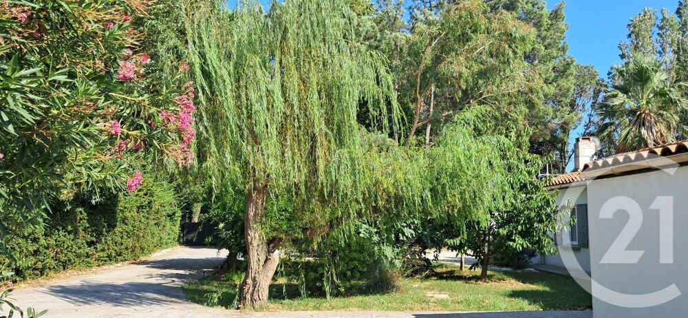 � vendre  Maison Saint-Cyprien (66750)