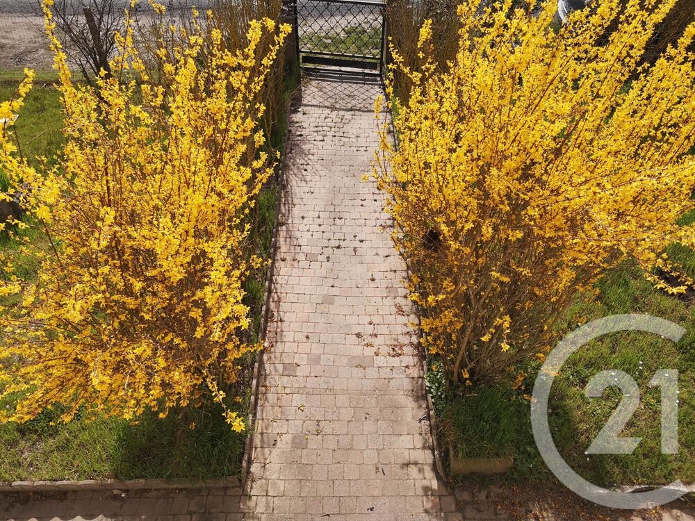 vente Maison - 8 pièce(s) - 290 m² Auros (33124)