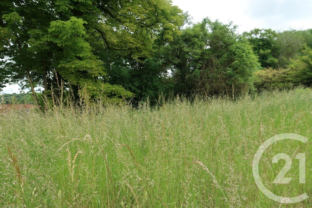vente Terrain - 740 m² Malesherbes (45330)