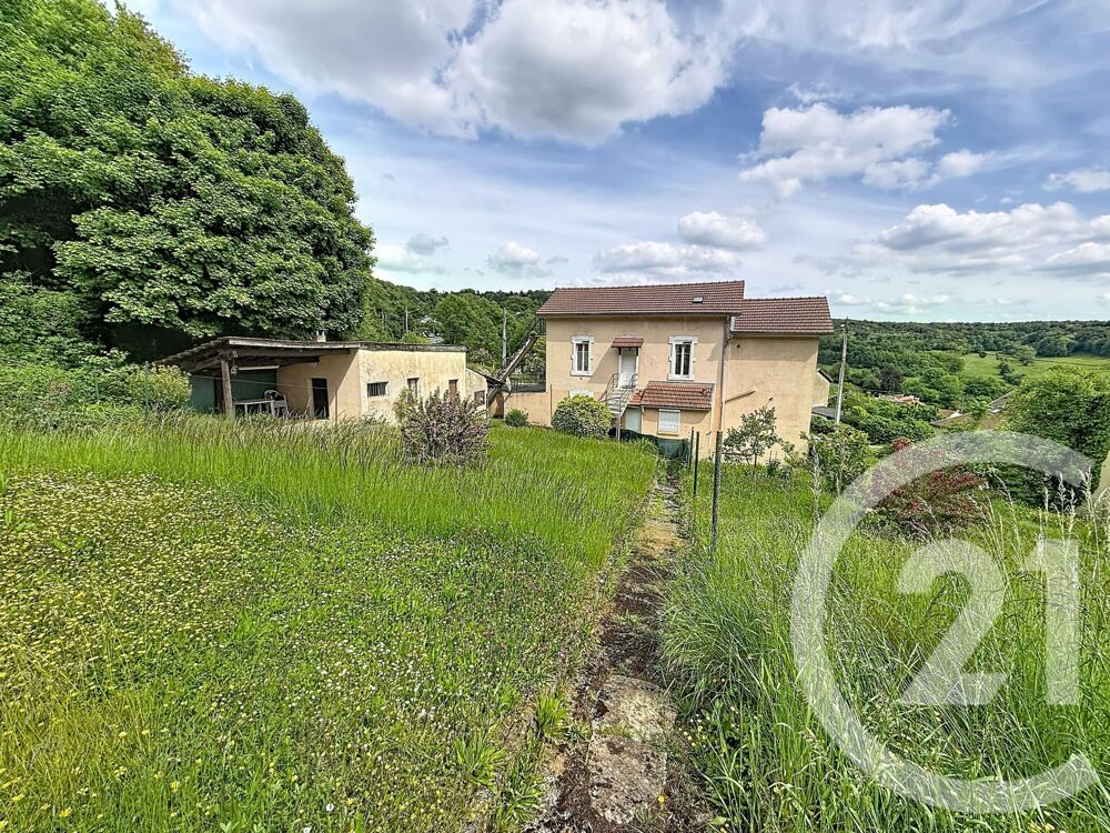 CHAVIGNY, Maison - Immeuble avec grand jardin et garages....